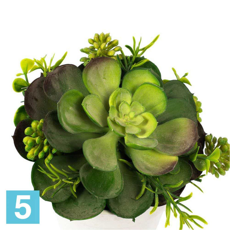 Суккулент искусственный Alseed, х1, в кашпо, d-17 см.