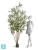 Олива искусственная TREEZ Collection Вайлд с плодами 220h