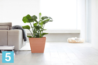 Кашпо с автополивом Ecopots Rotterdam, терракотовое 30-l, 30-w, 26-h