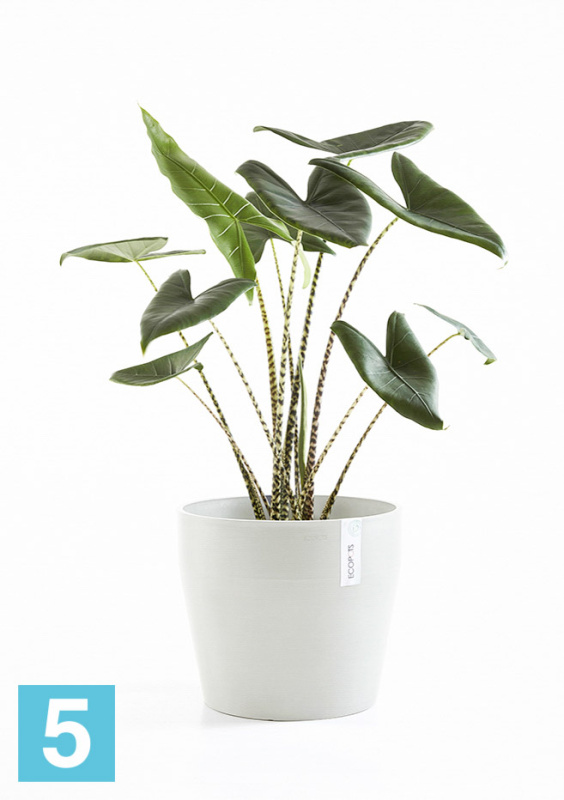 Напольное кашпо Ecopots Sankara, светло-серое 40-d, 35-h