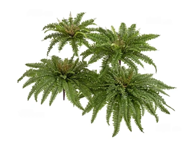 Искусственный Папоротник Бостон Новый натуральный зеленый TREEZ Collection 50-d, 20-h