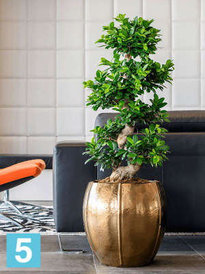 Кашпо Moda emperor, золотое d-55 h-55 см