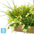 Цветы микс в кокосовом боксе искусственные Alseed, 50*10*10
