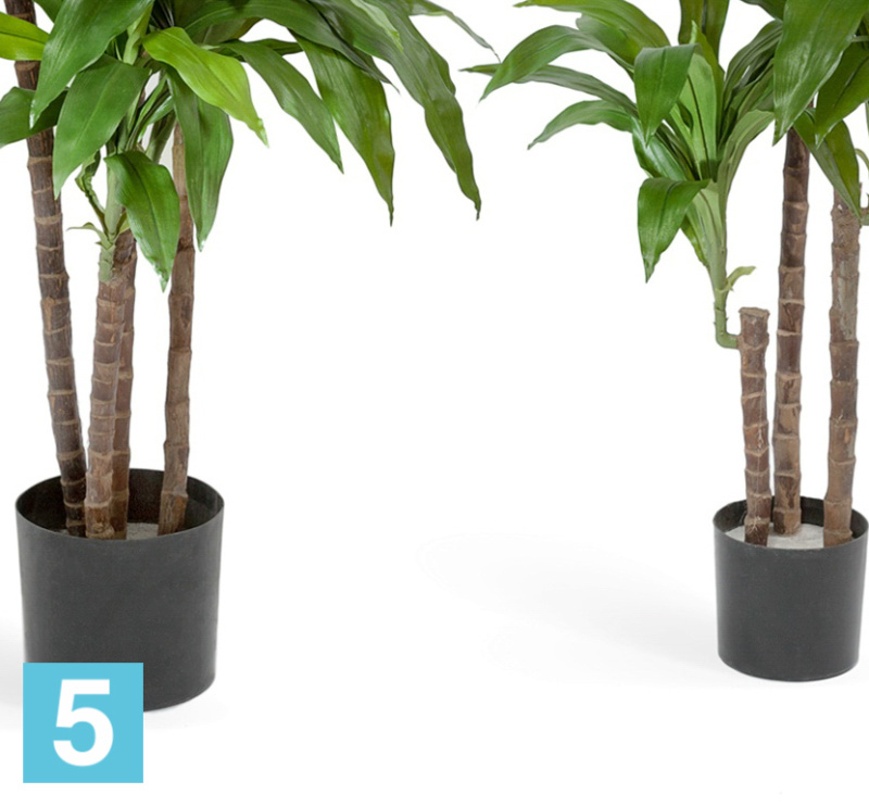 Драцена искусственная TREEZ Collection Джанет Крейг зеленая 150h