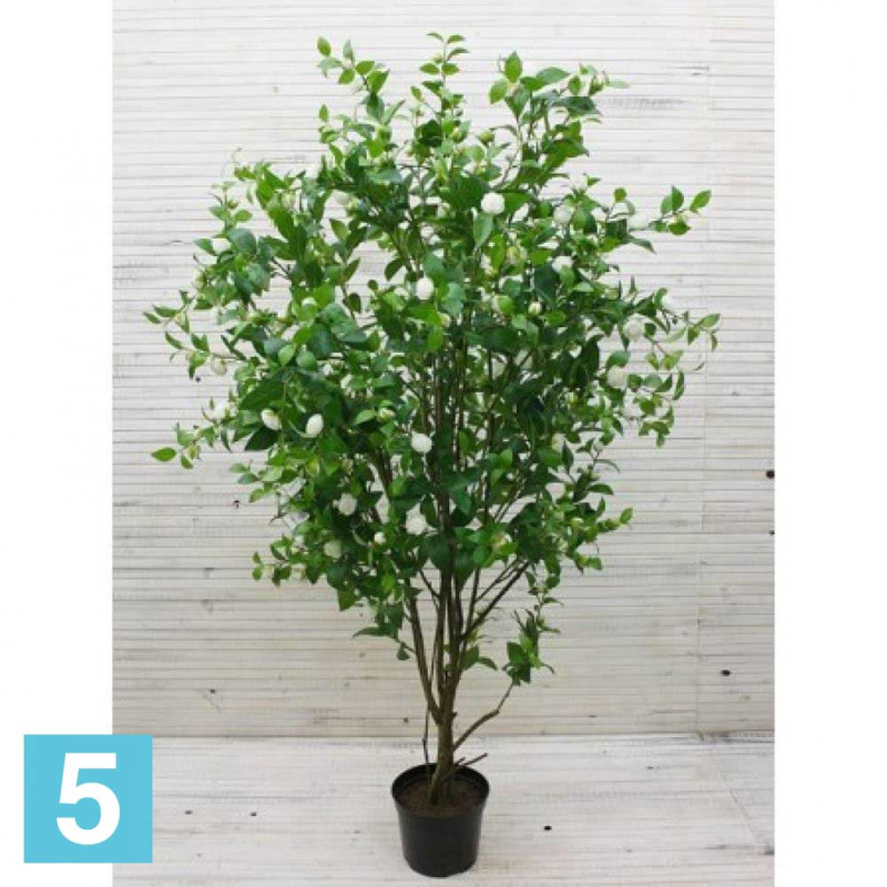 Камелия с бутонами искусственная Alseed, белая, h-180 см.