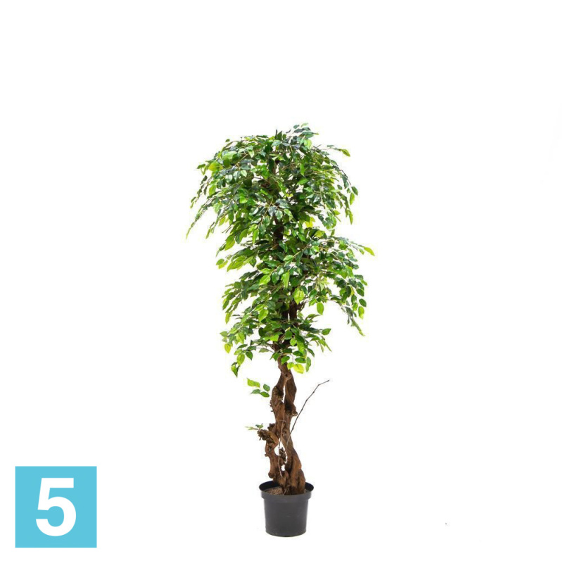 Фикус мелколистный искусственный Alseed, зелёный, h-180 см., латекс