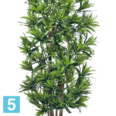 Драцена Рефлекса искусственная TREEZ Collection 180h в #REGION_NAME_DECLINE_PP#