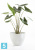 Напольное кашпо Ecopots Antwerp, светло-серое 50-d, 40-h