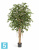 Фикус Ретуса искусственный TREEZ Collection 150h