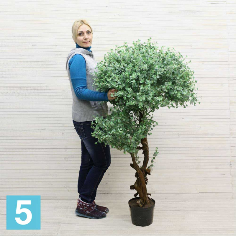 Эвкалипт Популус искусственный Alseed, патина, h-150 см.