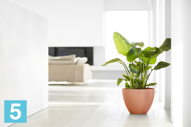 Напольное кашпо Ecopots Antwerp, терракотовое 50-d, 40-h