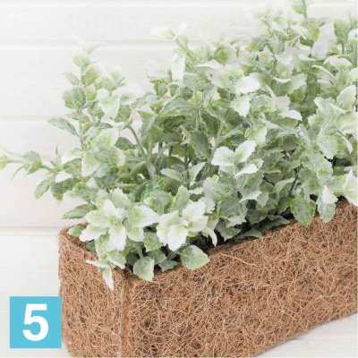 Зелень с патиной искусственная Alseed, бел, h-15 см. в кок.боксе, 25*8*8