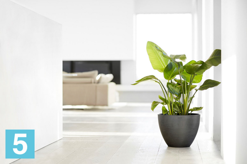 Напольное кашпо Ecopots Antwerp, антрацит 50-d, 40-h