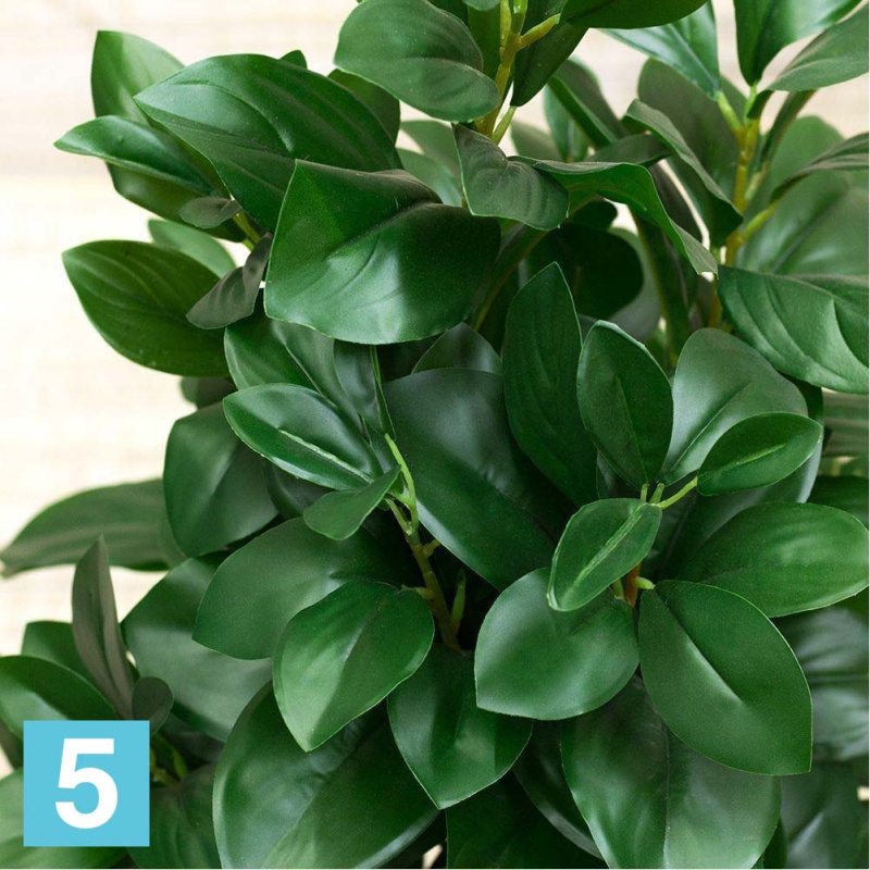 Рускус куст искусственный Alseed, h-70 см., латекс