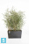 Прямоугольное кашпо Ecopots Paris, антрацит 99-l, 46-w, 50-h