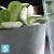 Кашпо Prosperplast TUBUS Beton, кремовое 40-d, 37-h