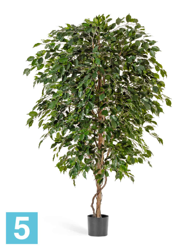 Фикус искусственный TREEZ Collection Бенджамина Де Люкс 210h