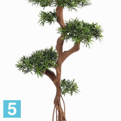Подокарпус на забавном стволе Новый искусственный TREEZ Collection 135h