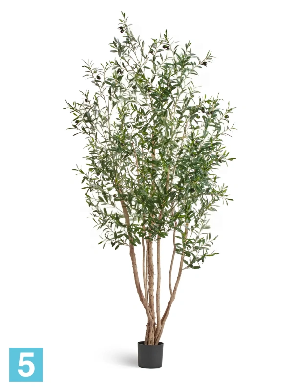 Олива искусственная TREEZ Collection Вайлд с плодами 220h