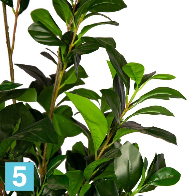 Рускус искусственный Alseed, куст, h-150 см., латекс