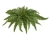 Искусственный Папоротник Бостон Новый натуральный зеленый TREEZ Collection 50-d, 20-h