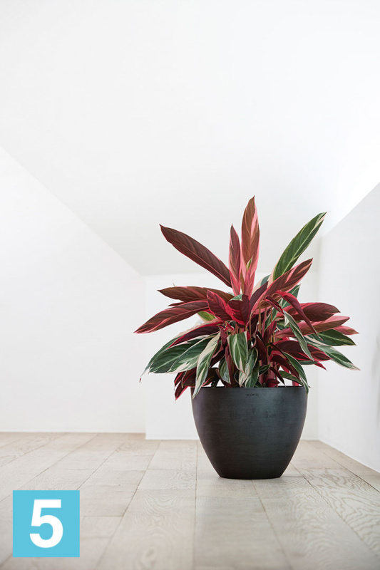 Напольное кашпо Ecopots Antwerp, антрацит 40-d, 30-h