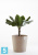 Напольное кашпо Ecopots Amsterdam, серо-коричневое 40-d, 35-h