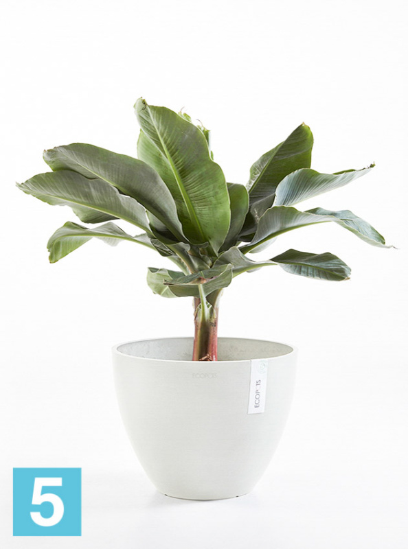 Напольное кашпо Ecopots Antwerp, светло-серое 50-d, 40-h