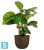Напольное кашпо Artevasi Havana Tropical, коричневое 40-d, 33-h