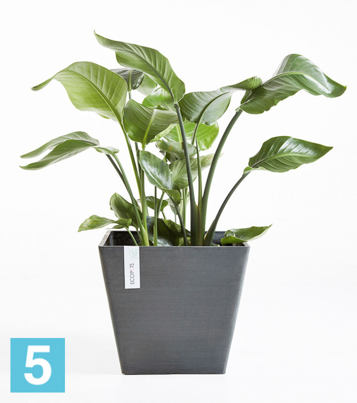 Напольное кашпо Ecopots Rotterdam, антрацит 40-l, 40-w, 35-h