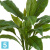 Спатифиллум куст искусственный Мидл зелёный (Sensitive Botanic) TREEZ Collection