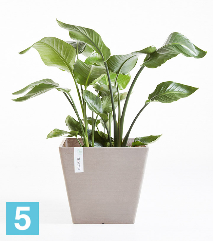 Кашпо с автополивом Ecopots Rotterdam, серо-коричневое 30-l, 30-w, 26-h