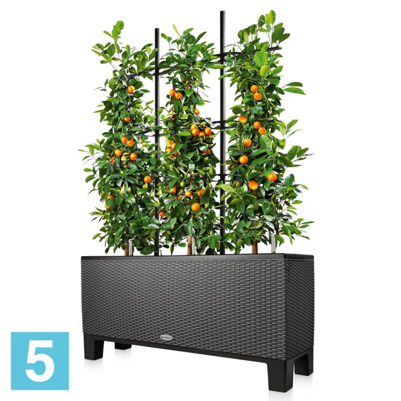 Решетка для Lechuza Trio Cottage 130, черная 113-l, 170-h