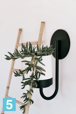 Кашпо настенное Prosperplast Bloomie Hanger, бетон 27-l, 23,-w, 84,5-h