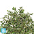 Фикус искусственный TREEZ Collection Фолиа пестрый 130h