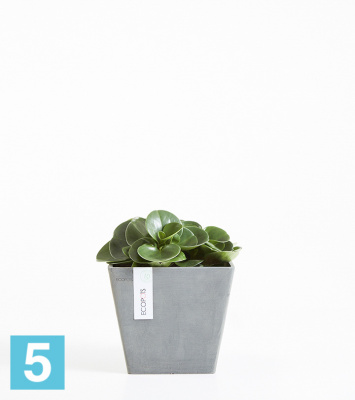 Кашпо с автополивом Ecopots Rotterdam, серое 20-l, 20-w, 18-h