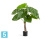 Алоказия Калидора искусственная TREEZ Collection 80h Алоказия Калидора искусственная TREEZ Collection 80h