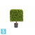 Самшит квадрат искусственный TREEZ Collection уличный на каркасе 72h
