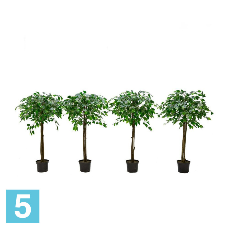 Фикус искусственный Alseed, h-120 см., латекс