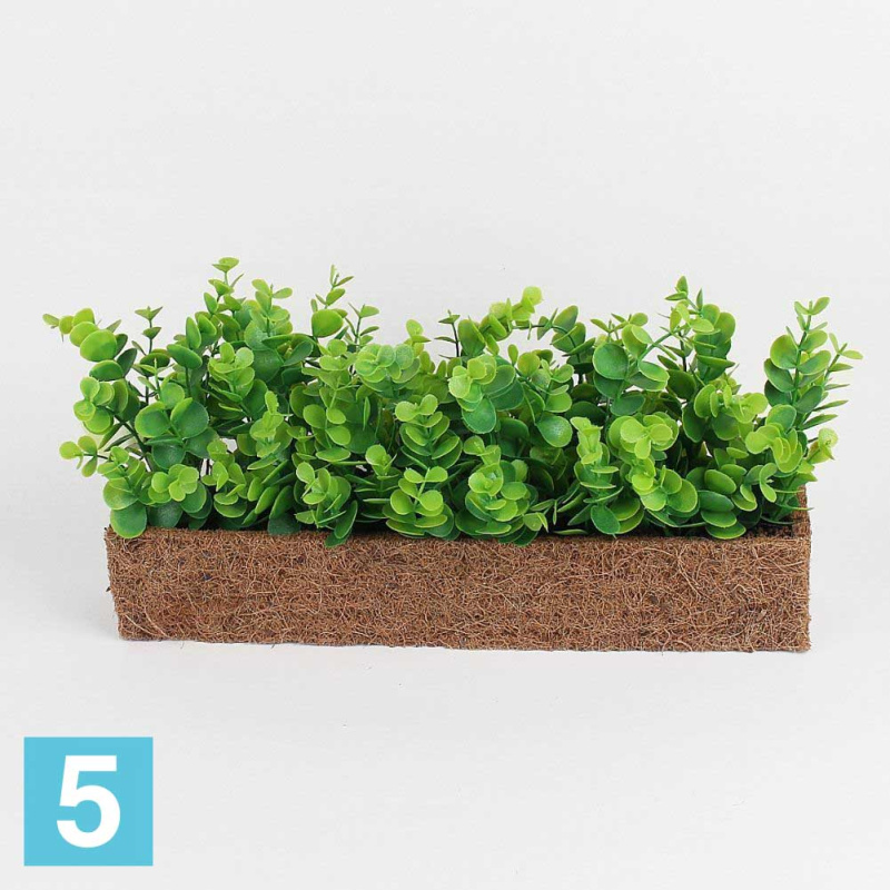 Самшит эвкалипт. в кокос. боксе искусственный Alseed, 40*8*7