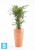 Высокое кашпо Ecopots Sankara-H, терракотовое 45-d, 75-h