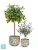 Кашпо TREEZ Effectory Savage Garden Чаша Capri, бело-сине-жёлтое 23-d, 23-h
