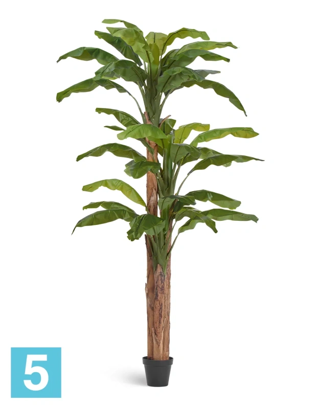 Искусственное банановое дерево (Sensitive Botanic) TREEZ Collection 280h