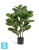 Фикус искусственный TREEZ Collection Лирата куст на стволах 95h