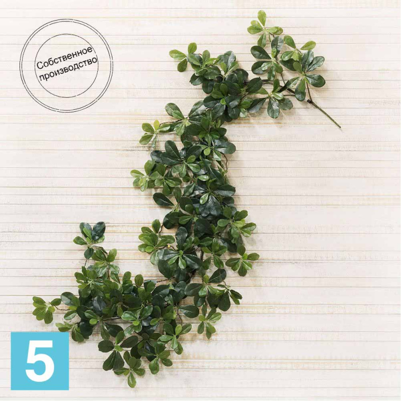 Лиана Шеффлера 1 искусственная Alseed, 5м, латекс