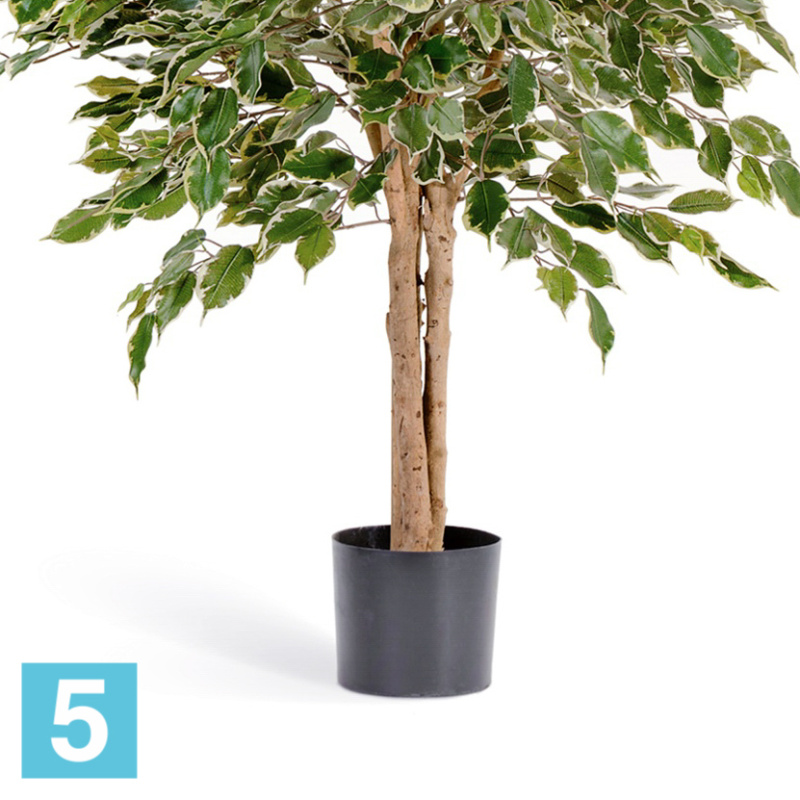 Фикус искусственный TREEZ Collection Бенджамина Пестрый "Натуральный" 180h