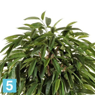 Лонгифолия зонтичная широколистная искусственная TREEZ Collection 180h в #REGION_NAME_DECLINE_PP#