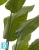 Искуственная стрелиция Traveller (Sensitive Botanic) TREEZ Collection 180h