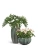 Кашпо TREEZ Effectory Aura Низкая Design-чаша, изумрудный лак 53-d, 31-h Кашпо TREEZ Effectory Aura Низкая Design-чаша, изумрудный лак 53-d, 31-h