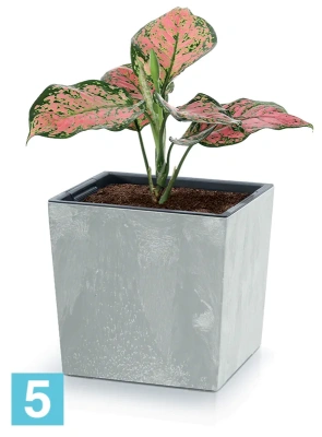 Кашпо Prosperplast URBI SQUARE Low Beton Effect, антрацит 24-l, 24-w, 23,5-h